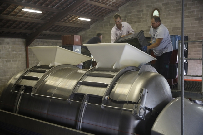 Champagne Pierre COURTOIS -  Champagne Pierre COURTOIS -