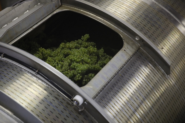 Champagne Pierre COURTOIS -  Champagne Pierre COURTOIS -