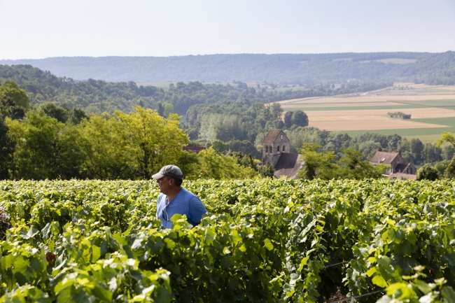 Champagne Pierre COURTOIS - 